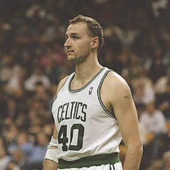 Dino Radja